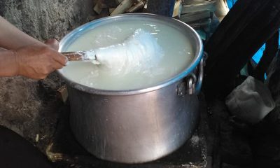 Yaylalarımızda Peynir Yapımı Devam Ediyor