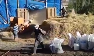 Olur’da Patos Zamanı